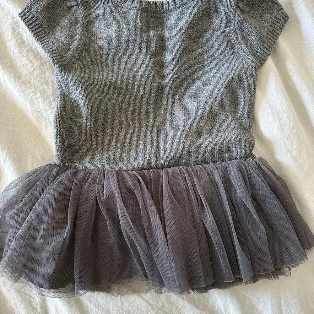 GAP Gray Tulle Swan Dress with Cream Swan Motif